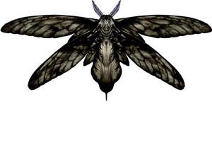 http://www.silenthillmemories.net/sh1/creatures/floatstinger.jpg