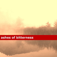 Christophe Frutuoso - Ashes of Bitterness