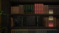 NightCry bookshelf puzzle