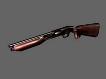 Shotgun