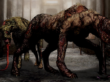 Sniffer Dogs